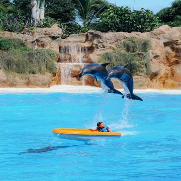 Gold Coast Sea World